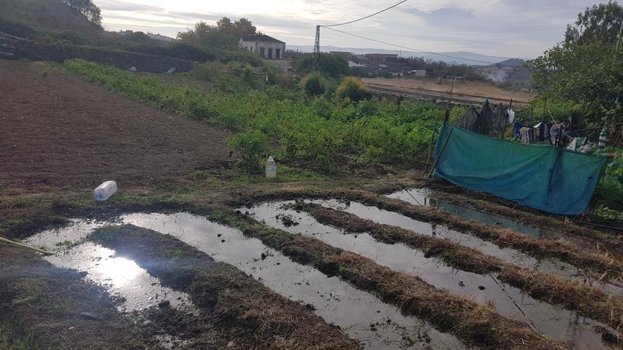 Vila El Sitio De Su Recreo Jerez De Los Caballeros Exteriér fotografie