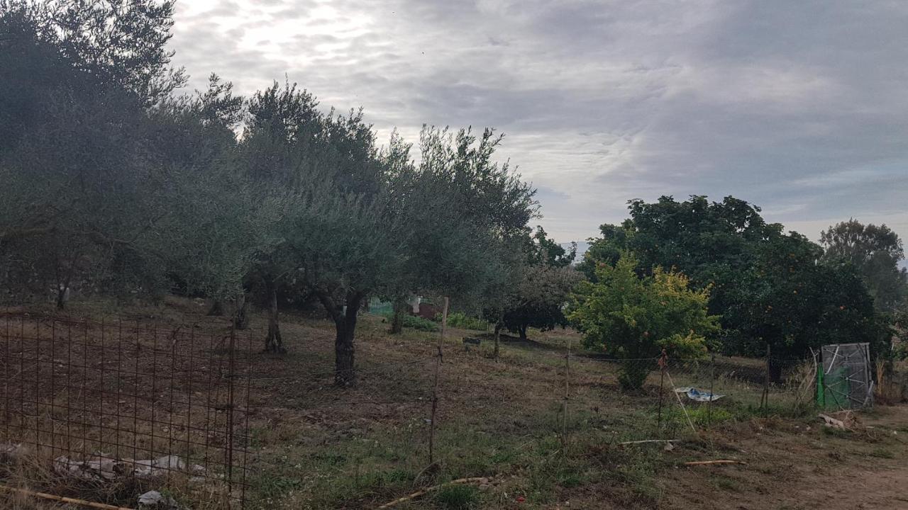 Vila El Sitio De Su Recreo Jerez De Los Caballeros Exteriér fotografie
